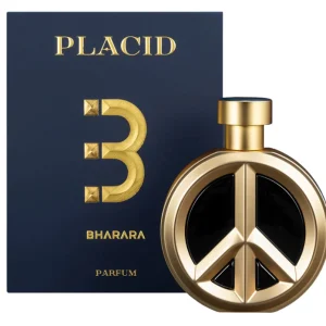 placid-8e4d36e7ad7f796cff17385993916474-1024-1024.webp